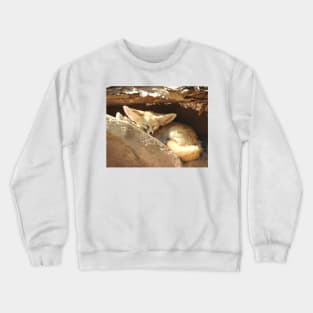 Fennec Fox Crewneck Sweatshirt